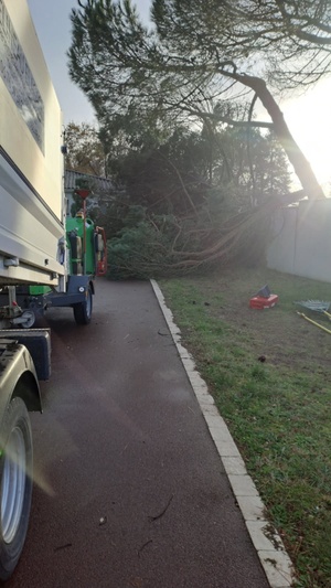 Intervention après tempêtes et dégâts climatiques